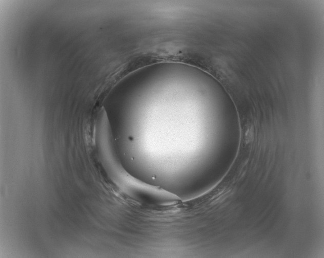 X0000067531156200604150218