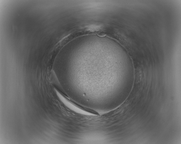 X0000067531158200604150218