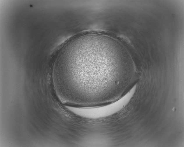 X0000067531159200604150218