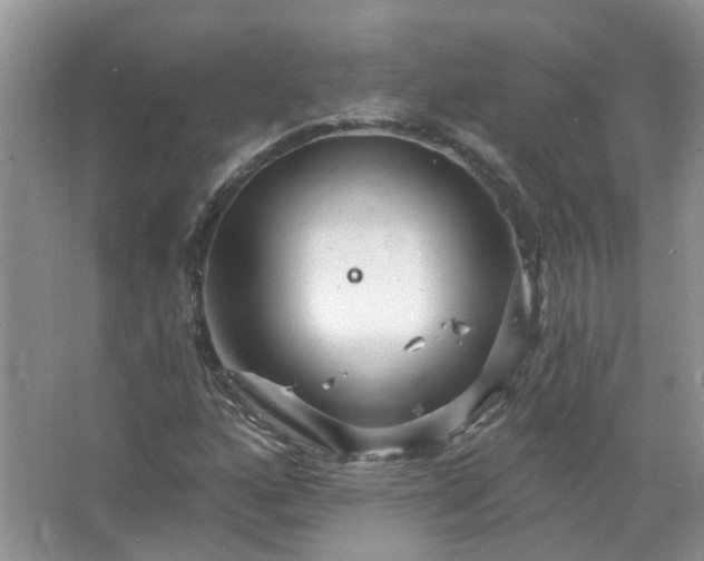 X0000067531160200604150218