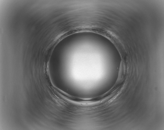 X0000067531161200604150218