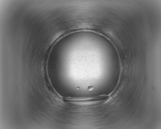 X0000067531162200604150218