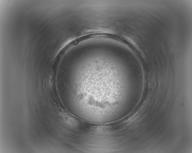 X0000067531163200604150218