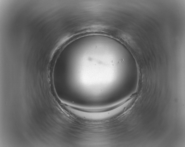 X0000067531164200604150218