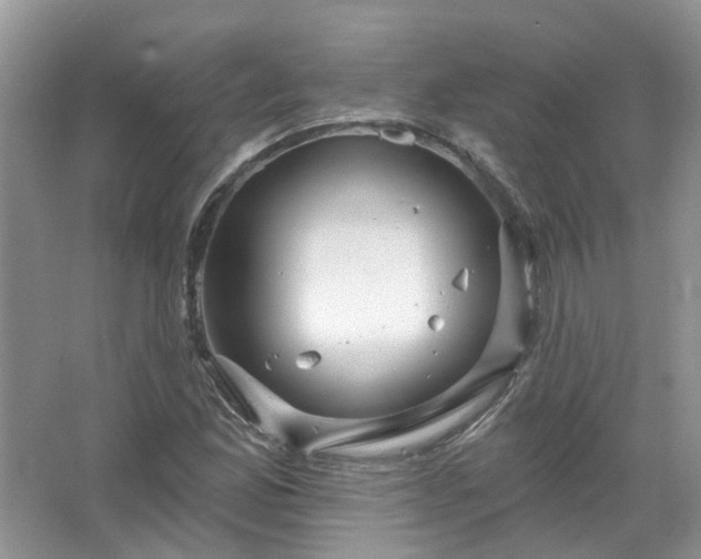 X0000067531165200604150218