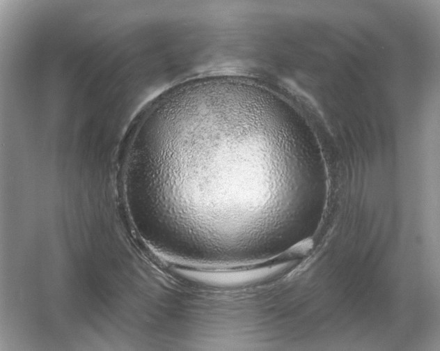 X0000067531166200604150218