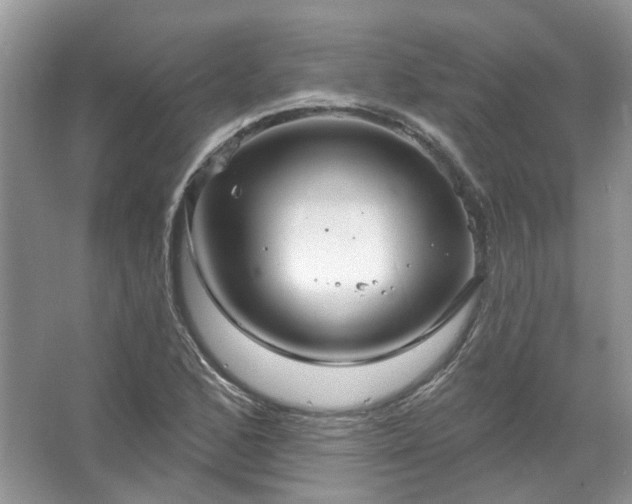 X0000067531168200604150218