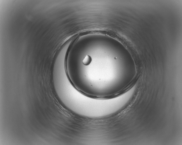 X0000067531169200604150218