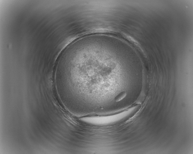 X0000067531170200604150218