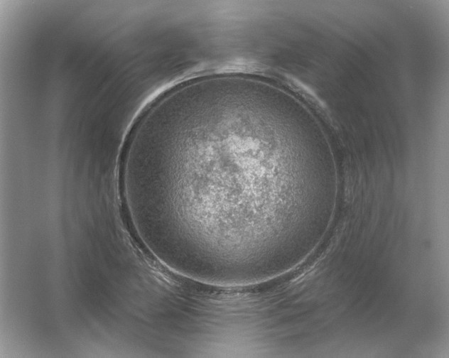 X0000067531174200604150218