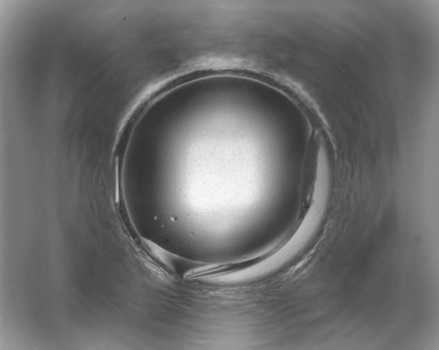 X0000067531175200604150218