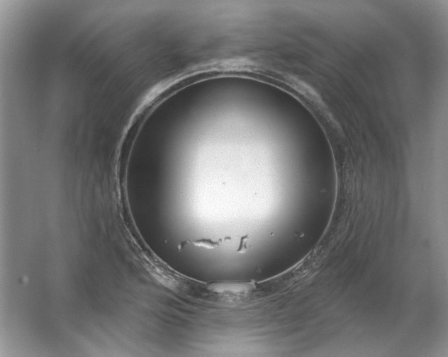 X0000067531176200604150218