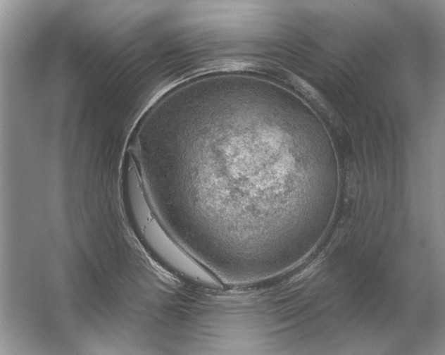 X0000067531178200604150218