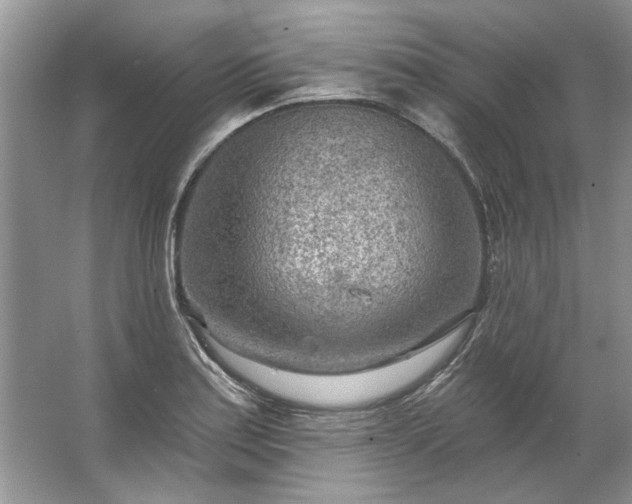 X0000067531179200604150218