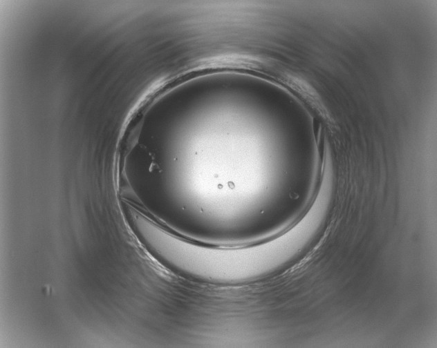 X0000067531180200604150218