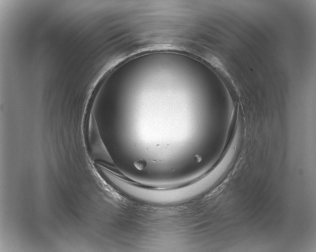 X0000067531181200604150218