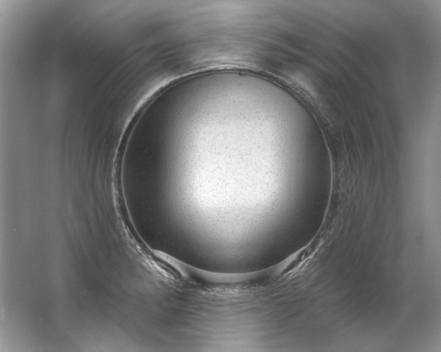 X0000067531182200604150218