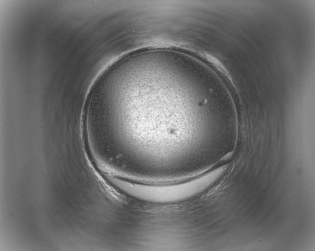 X0000067531183200604150218