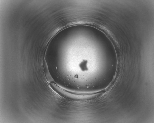 X0000067531185200604150218