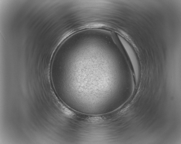 X0000067531186200604150218