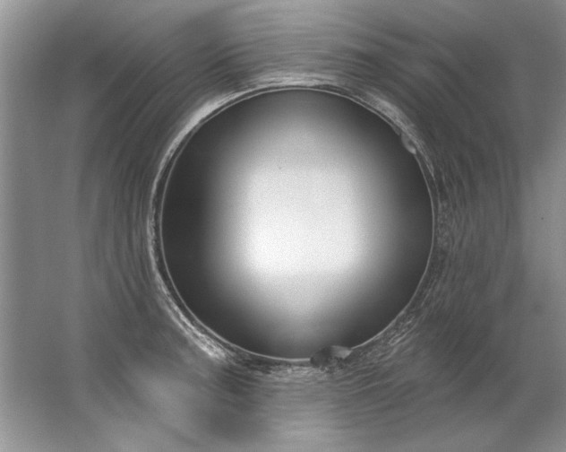 X0000067531187200604150218