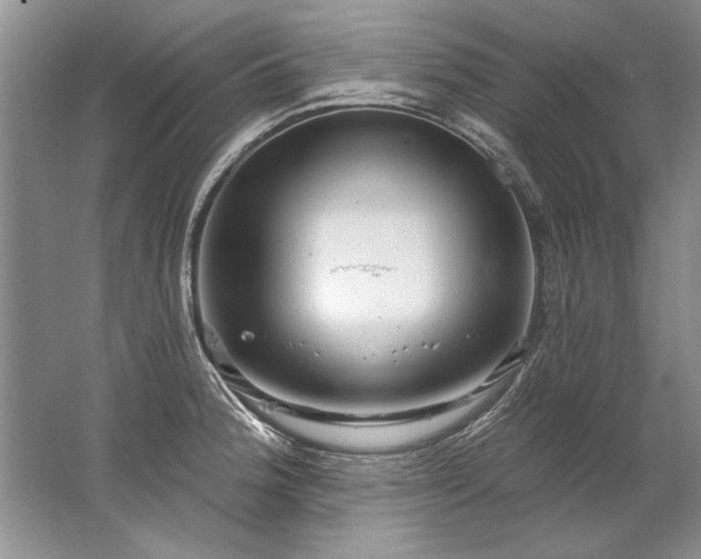 X0000067531188200604150218