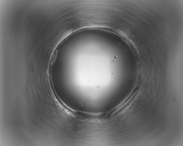 X0000067531189200604150217