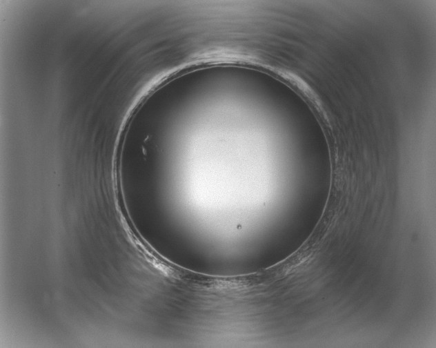 X0000067531191200604150217