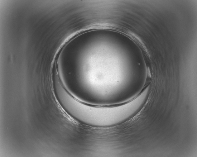 X0000067531192200604150217