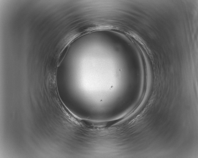 X0000067531193200604150217