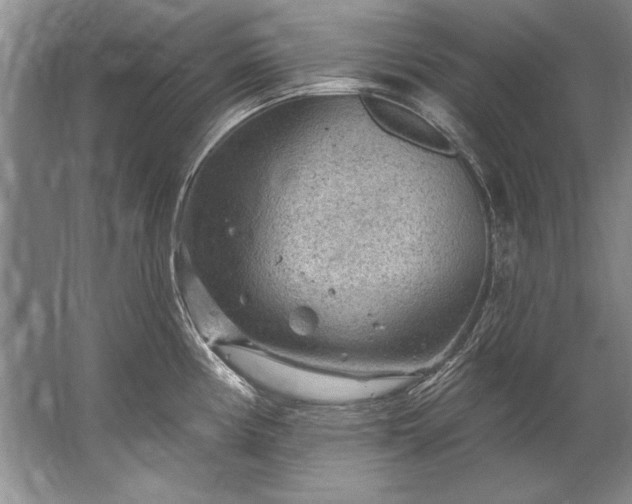 X0000067531194200604150217