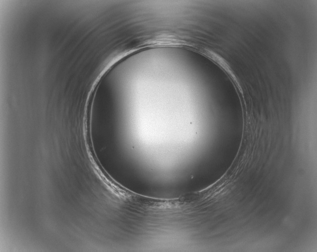 X0000067531195200604150217