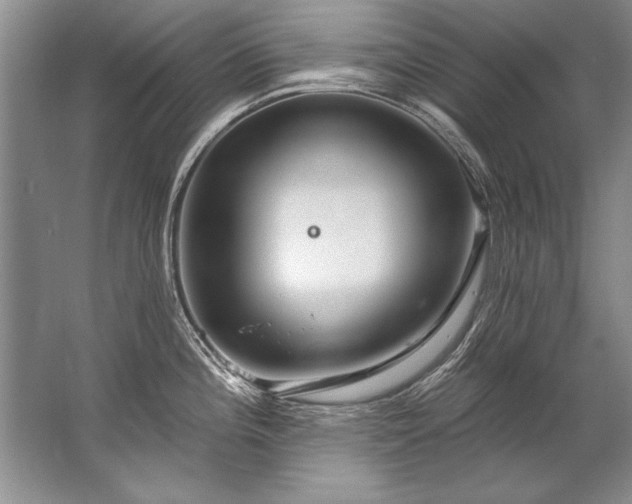 X0000067531196200604150217