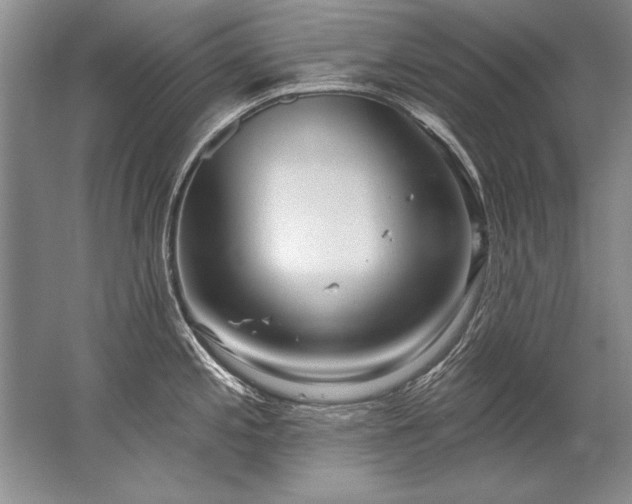 X0000067531197200604150217