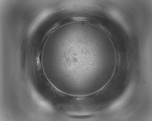 X0000067531198200604150217