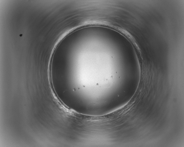 X0000067531199200604150217