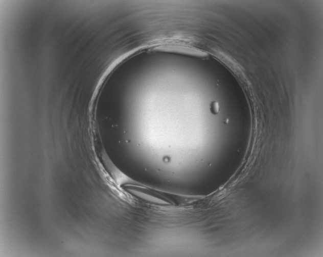 X0000067531200200604150217