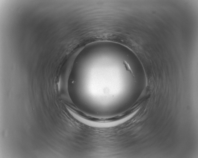 X0000067531202200604150217