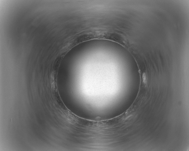 X0000067531203200604150217