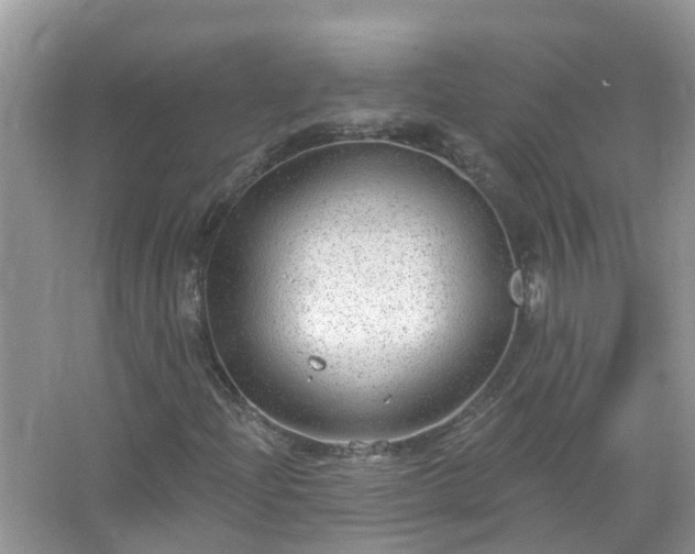 X0000067531204200604150217