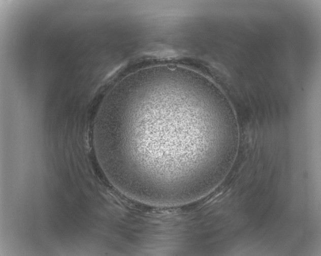 X0000067531205200604150217