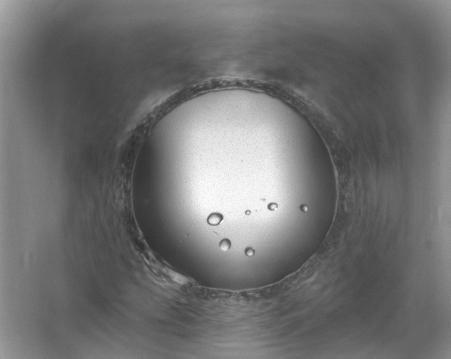 X0000067531207200604150217