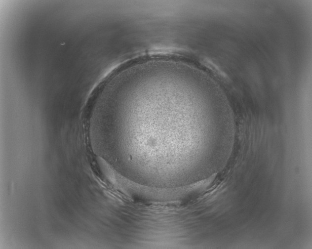 X0000067531208200604150217