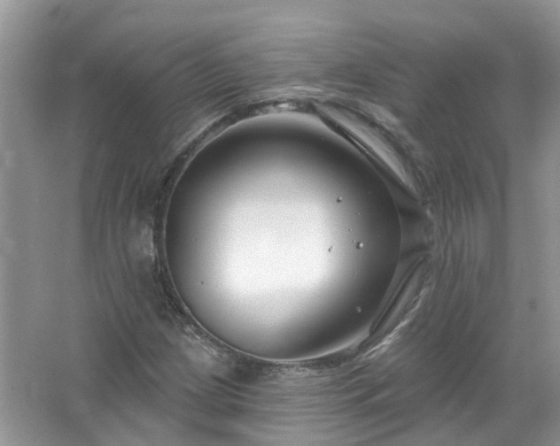 X0000067531209200604150217