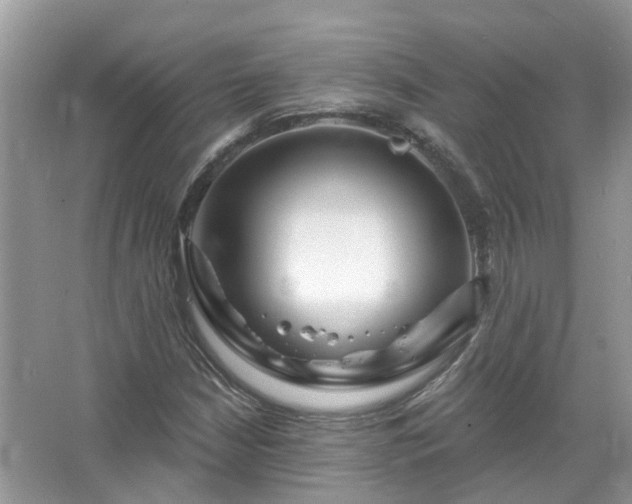 X0000067531210200604150217