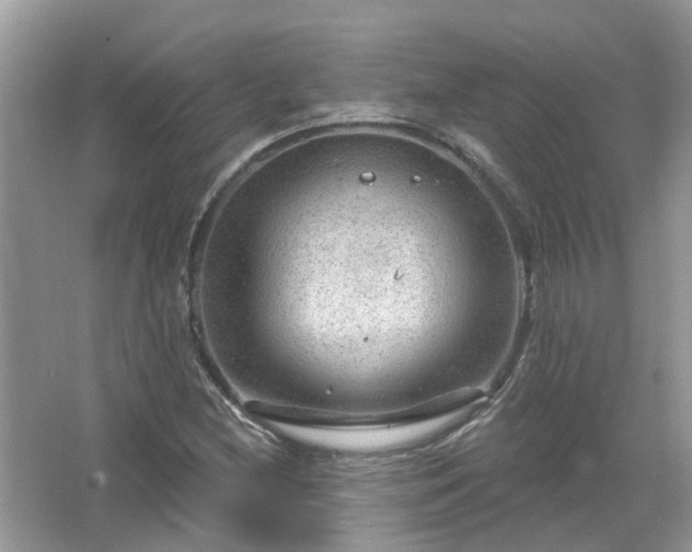 X0000067531212200604150217