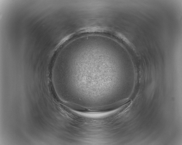 X0000067531213200604150217