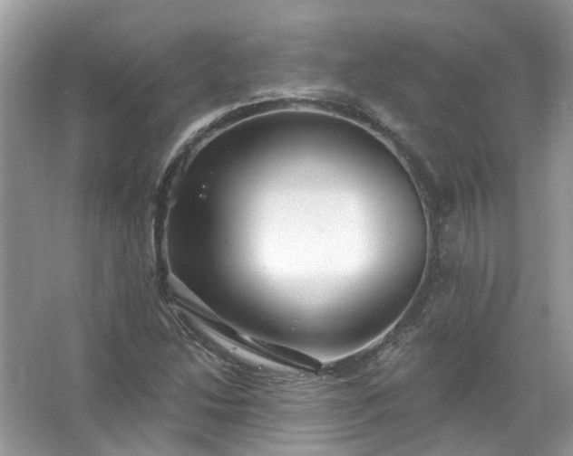 X0000067531214200604150217