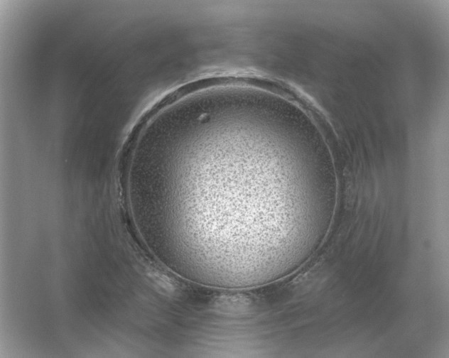 X0000067531215200604150217