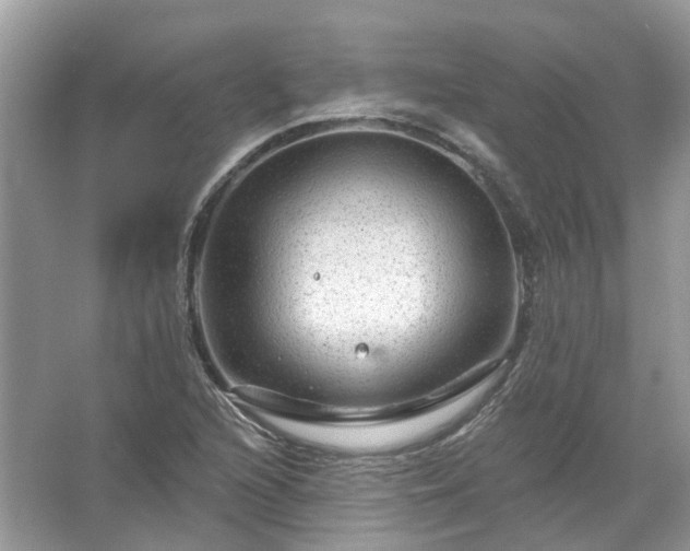 X0000067531216200604150217